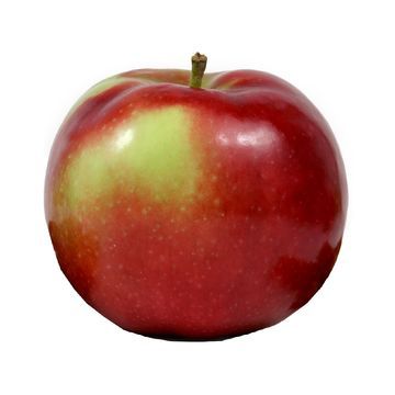 POMME MCINTOSH QUEBEC ENV. 170GR 6.15$/KG 2.79$/LB