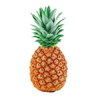 Ananas tropical gold VENDU INDIVIDUELLEMENT