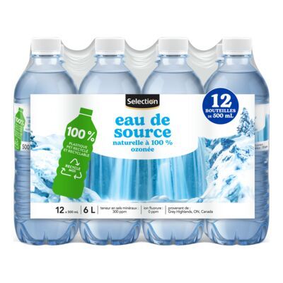 SELECTION EAU DE SOURCE 12X500ML