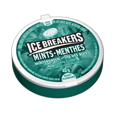 ICE BREAKERS MENTHE THE BOIS 42 GR