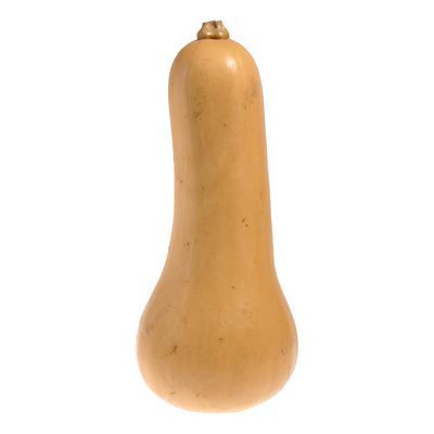 COURGE MUSQUEE (BUTTERNUT) QUEBEC ENV 1.9KG 3.28$/KG 1.49$/LB
