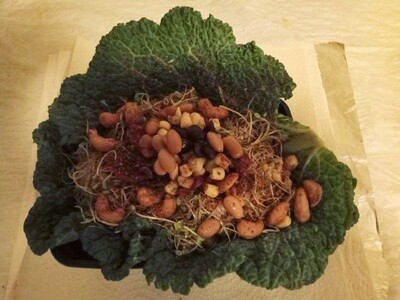 Vegan Single Cabbage Bowl
