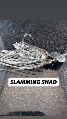 1/4 oz Slump Buster - Slamming Shad