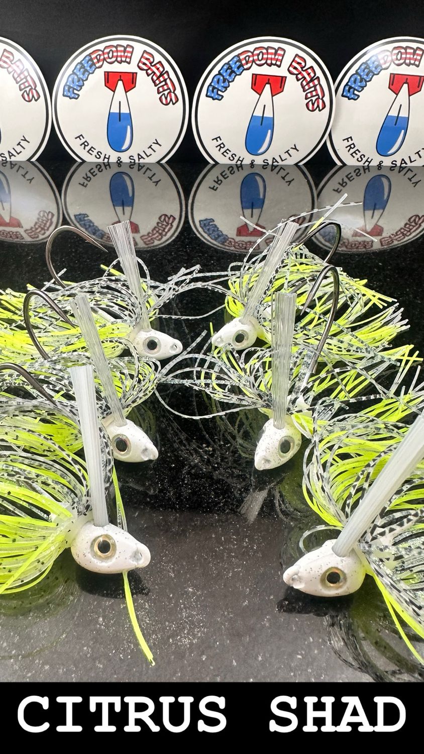 Sucker Punch Swim Jig