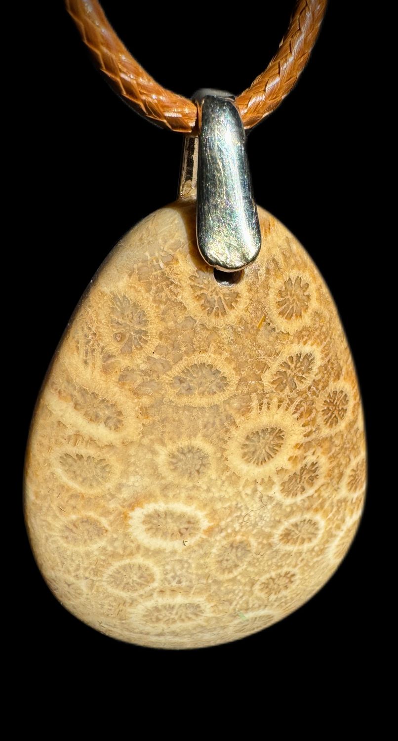 Petoskey Stone (fossilized coral) 925 Silver Pendant