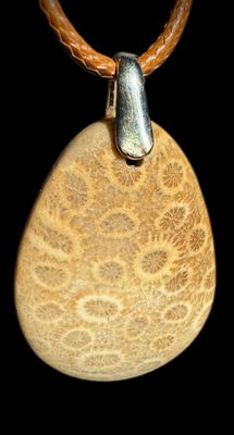 Petoskey Stone (fossilized coral) 925 Silver Pendant