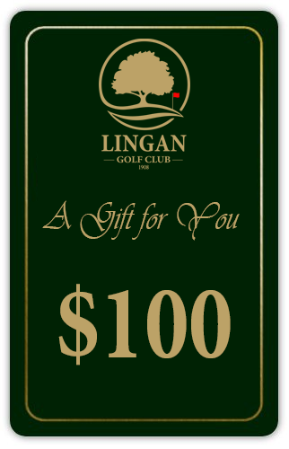 2025 Online Gift Card $100