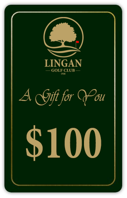 2025 Online Gift Card $100