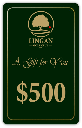 2025 Online Gift Card $500