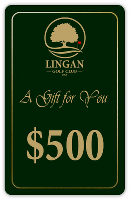 2025 Online Gift Card $500