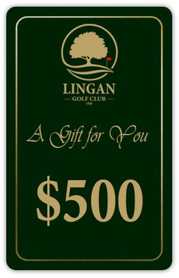 2026 Online Gift Card $500