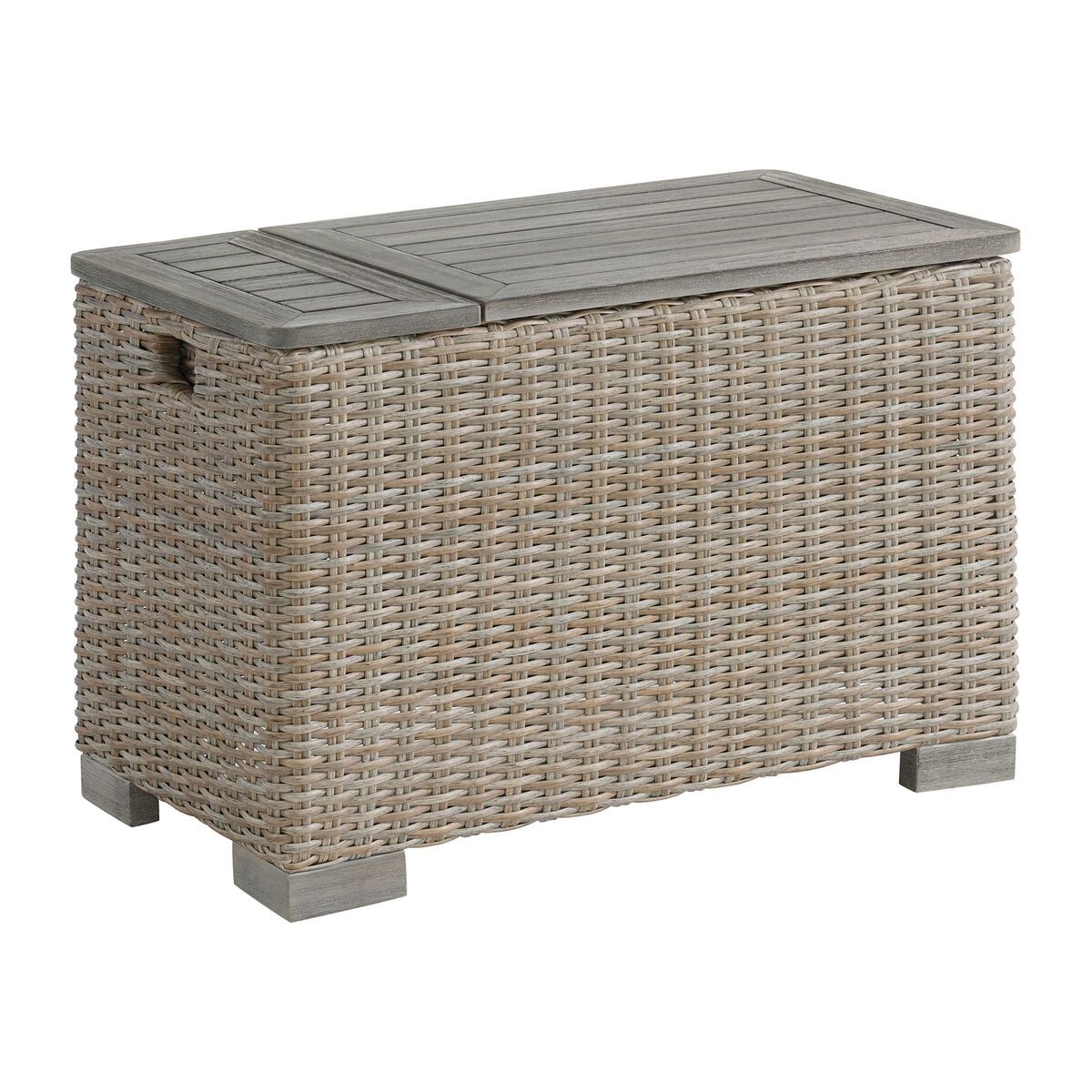 OLLIE COOLER BOX - TAN