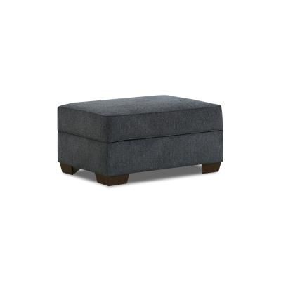 RENZO SKYLIGHT STORAGE OTTOMAN
