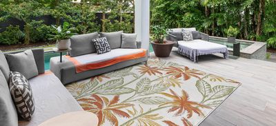Outdoor Rugs