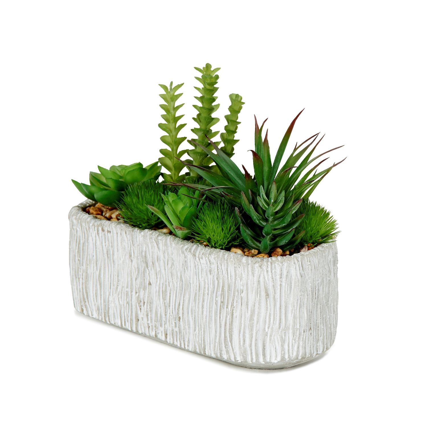 ASSORTED SUCCULENTS IN OBLONG CEMENT PLANTER