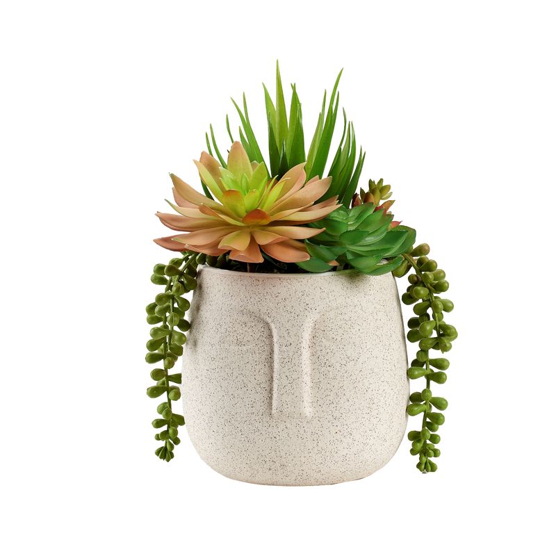 MIXED SUCCULENTS IN AZTEC VASE