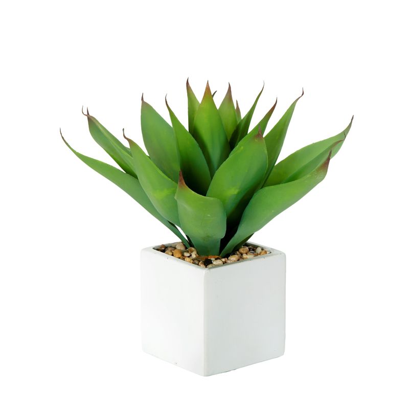 AGAVE IN WHITE SQUARE CERAMIC POT