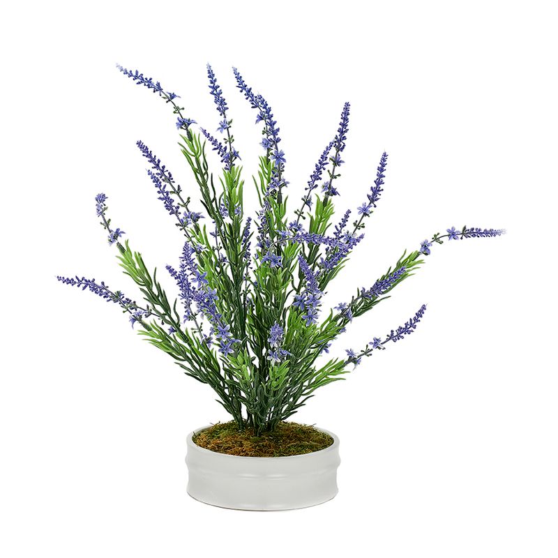 Lavender Bush in Small Dollop Planter