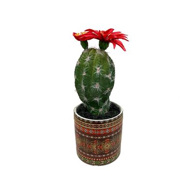 Cactus with Red Blossom in Orange Mexican Tile Planter