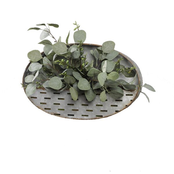 Silver Dollar Eucalyptus Spray in Oval Metal Wall Hanging