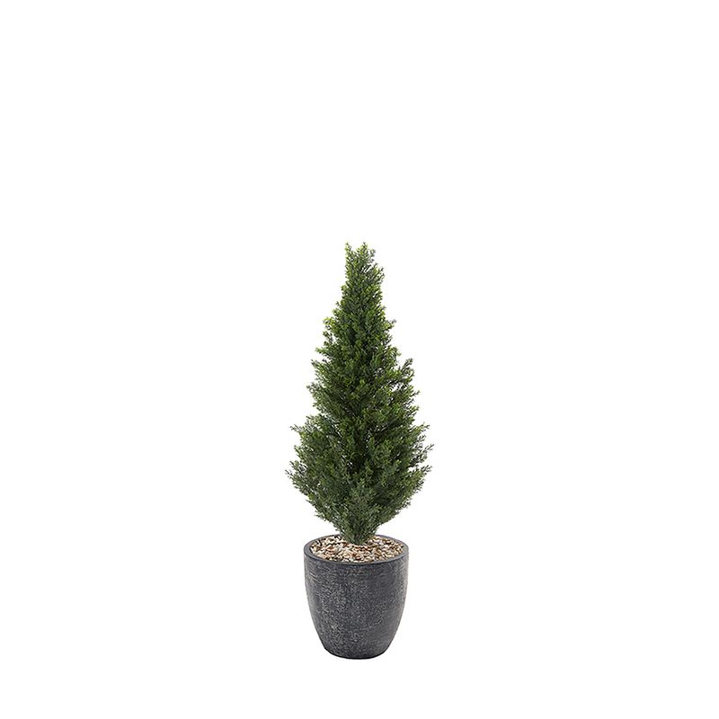 4.5ft Indoor/Outdoor Cedar Topiary in Hudson Planter