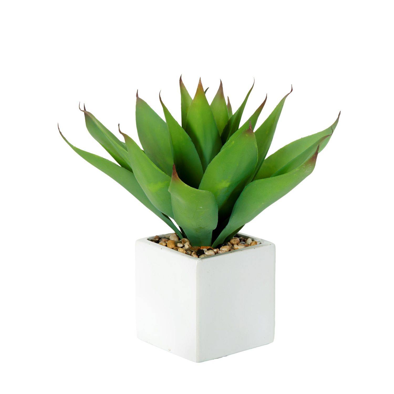 AGAVE IN WHITE SQUARE CERAMIC POT