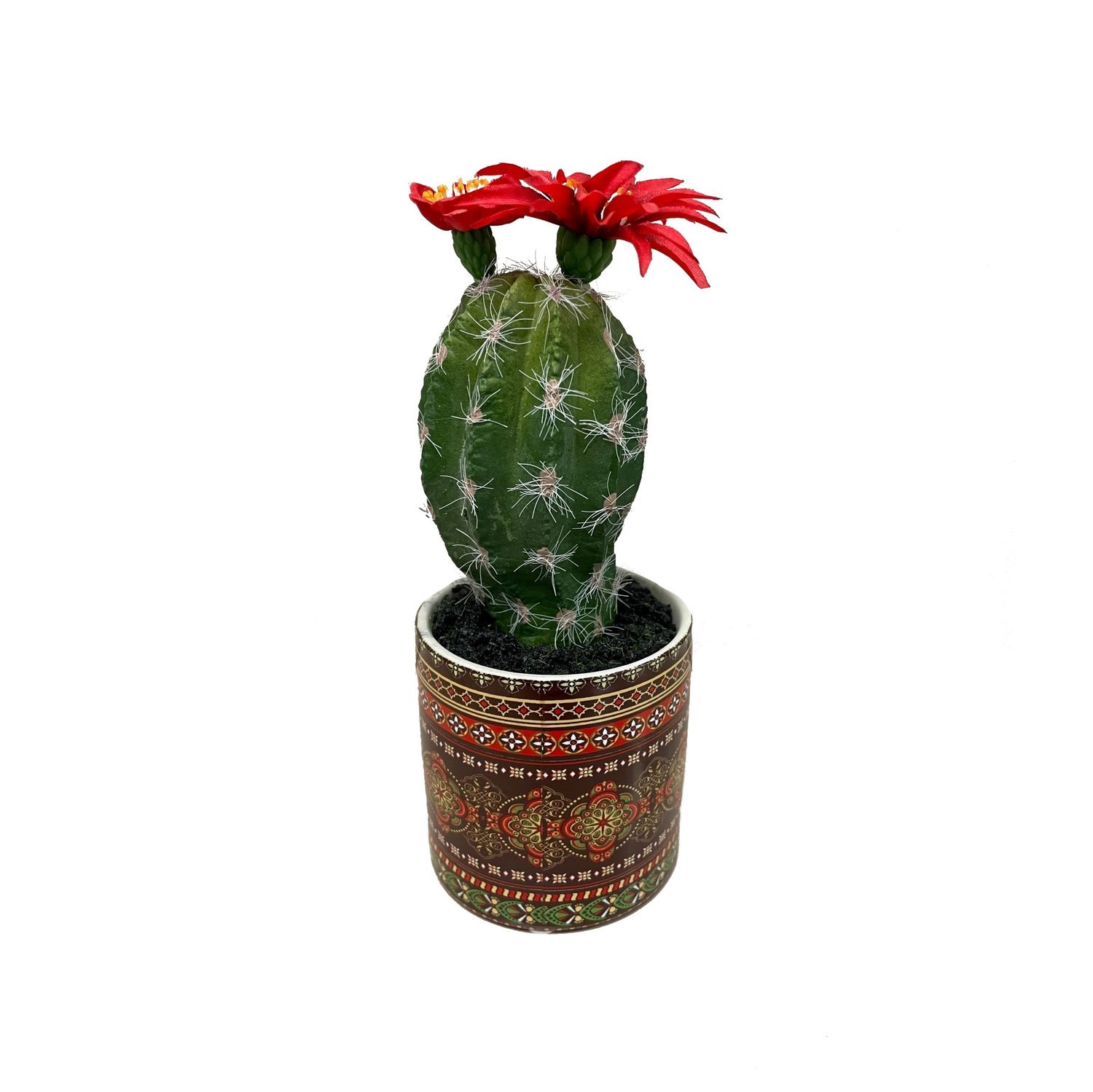 Cactus with Red Blossom in Orange Mexican Tile Planter