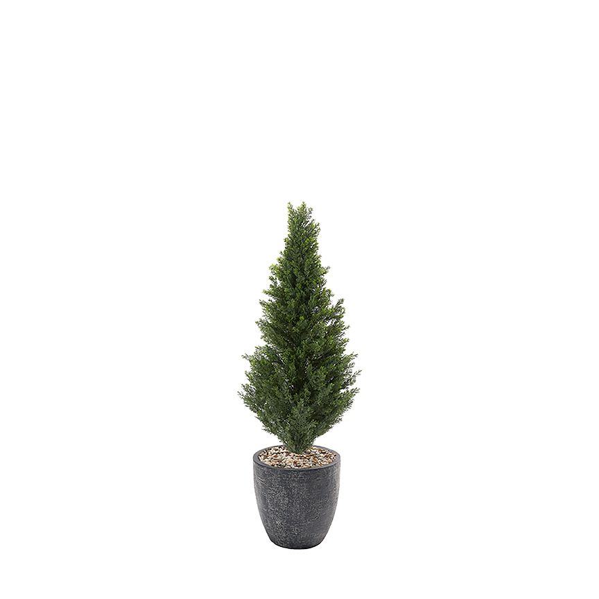 4.5ft Indoor/Outdoor Cedar Topiary in Hudson Planter