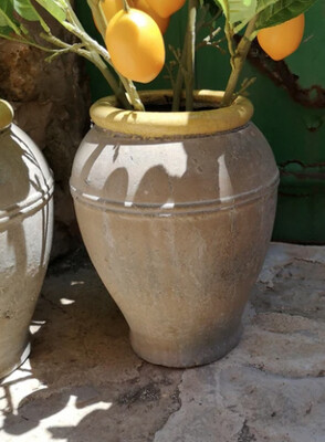 Olive Jar
