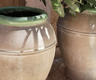 Olive Jar