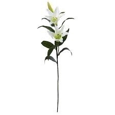 White Lily Stem