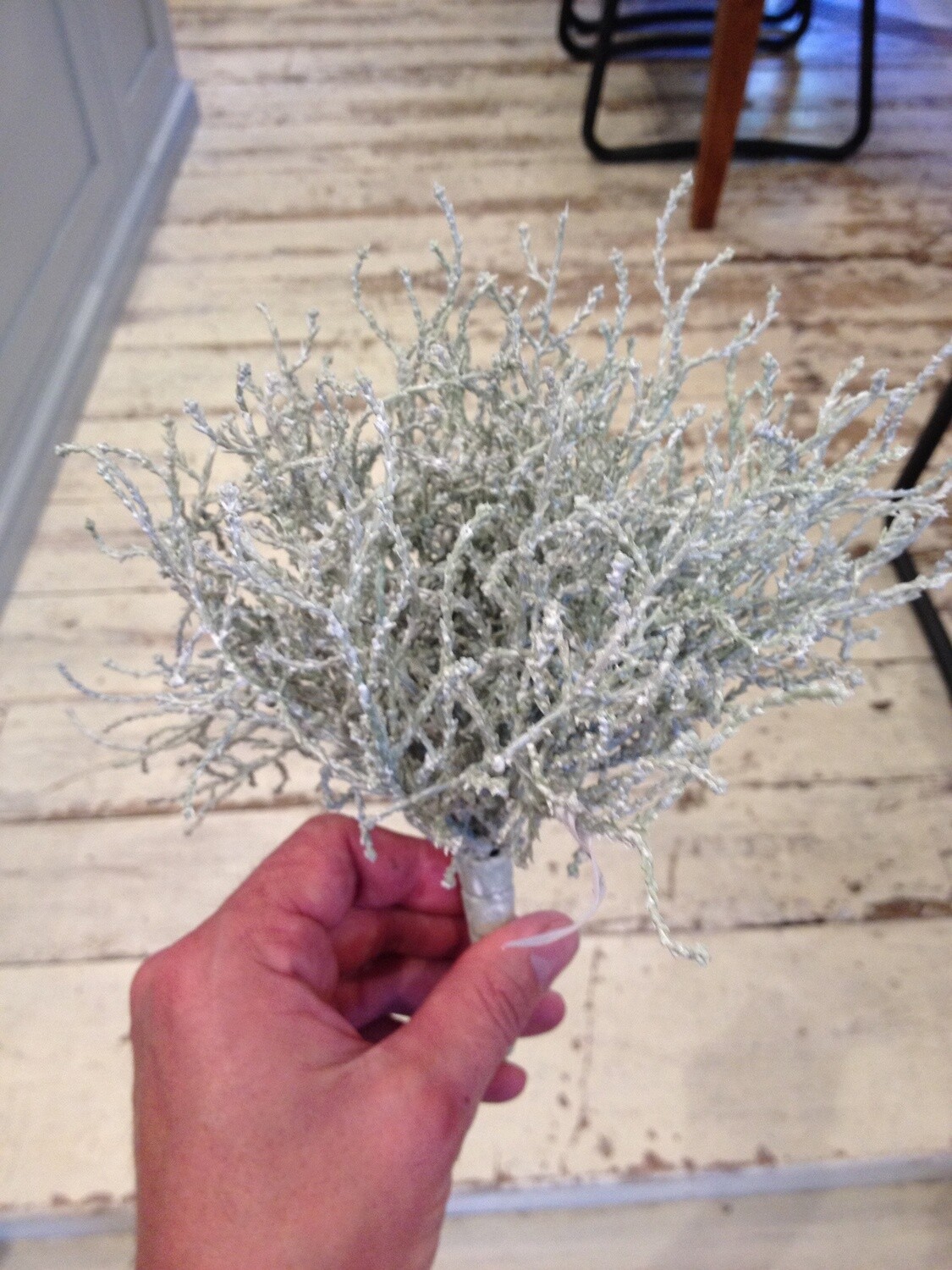 Santonia Silver