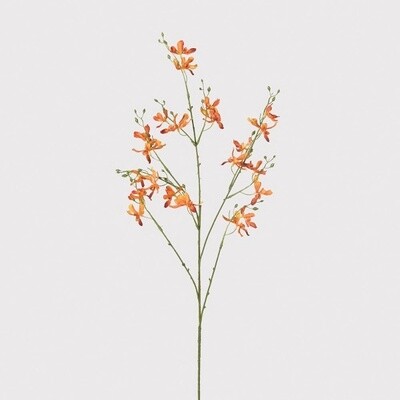 Orange Orchid Spray