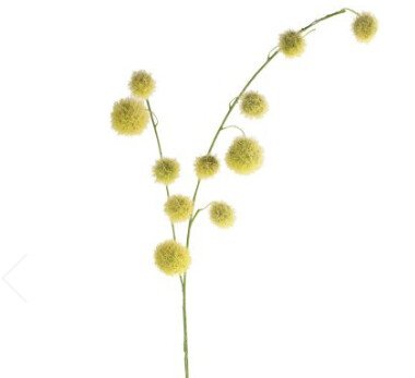 Onion Grass x 104cm