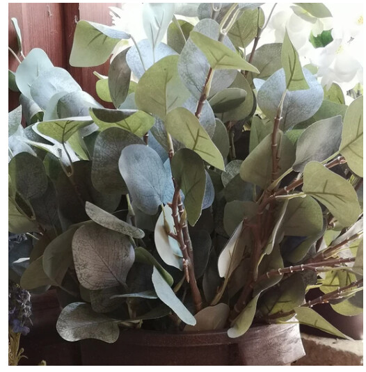 Eucalyptus Spray L69cm