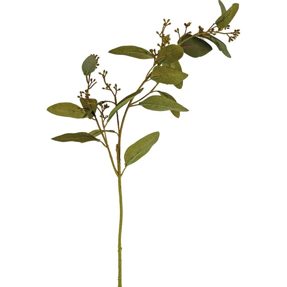 G I Eucalyptus stem 78cm