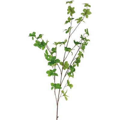 G I Spring Leaf Branch