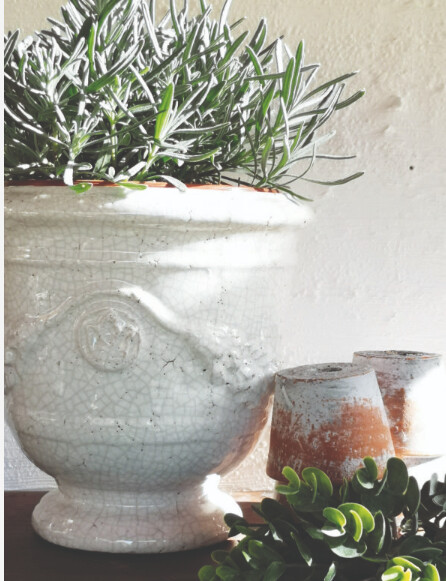 Urn Merida Ivory / Large