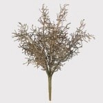 Coral Grass Bush