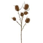 Gold Eryngo Spray