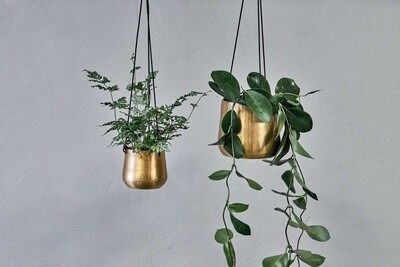 Brass Hanging Planter/Lrge
