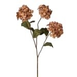 Gilded Glitter Hydrangea