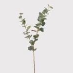 C H/Natural Eucalyptus Spray