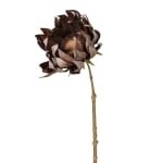 Carob Sunflower Stem