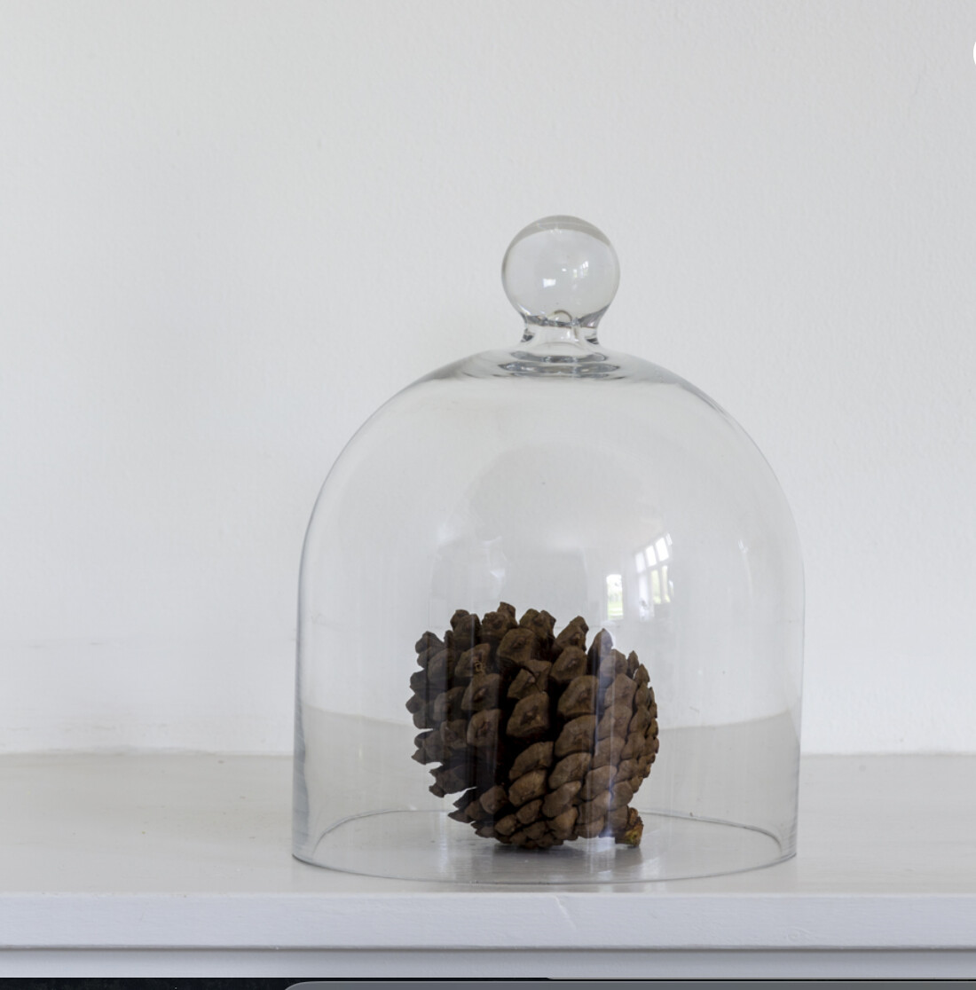 Medium glass dome