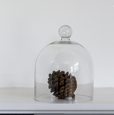 Medium glass dome