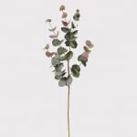 Natural Blush Eucalyptus Spray/ Large