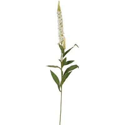 G I Veronica Spray White