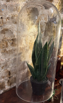 Vintage glass dome