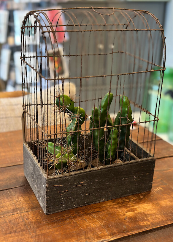 Small Vintage Cage